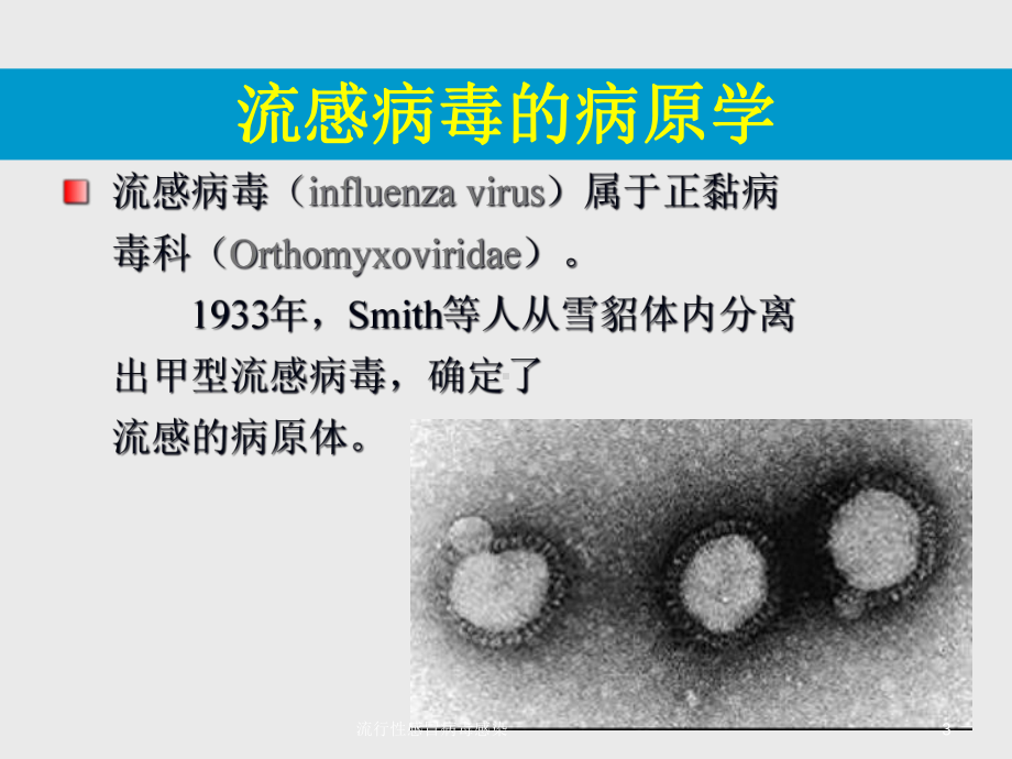 流行性感冒病毒感染课件.ppt_第3页