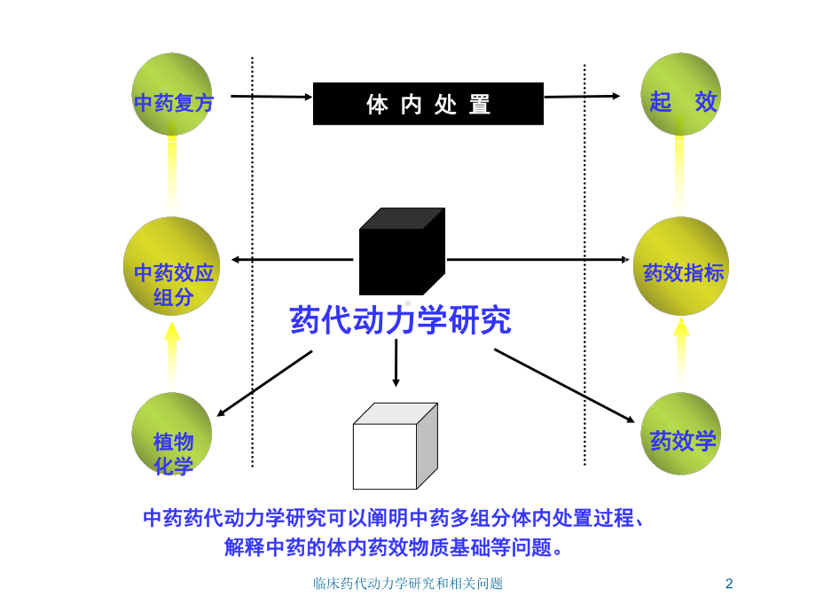 临床药代动力学研究和相关问题培训课件.ppt_第2页