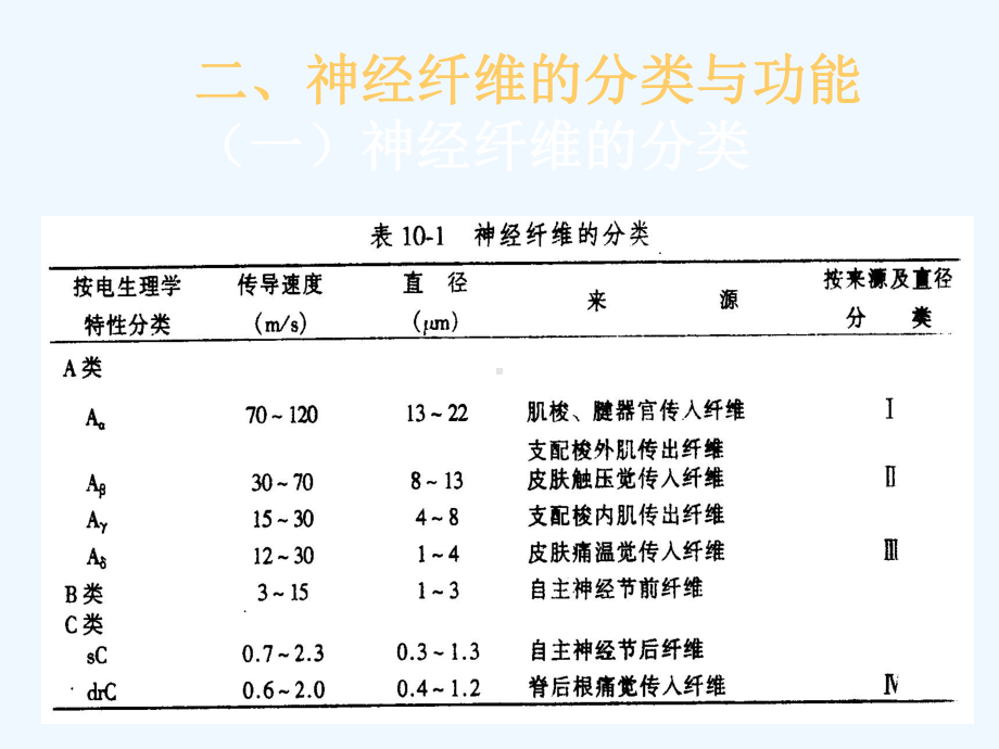 生理学神经系统的功能课件2.ppt_第3页