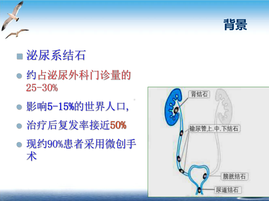 泌尿结石业务学习课件.pptx_第2页