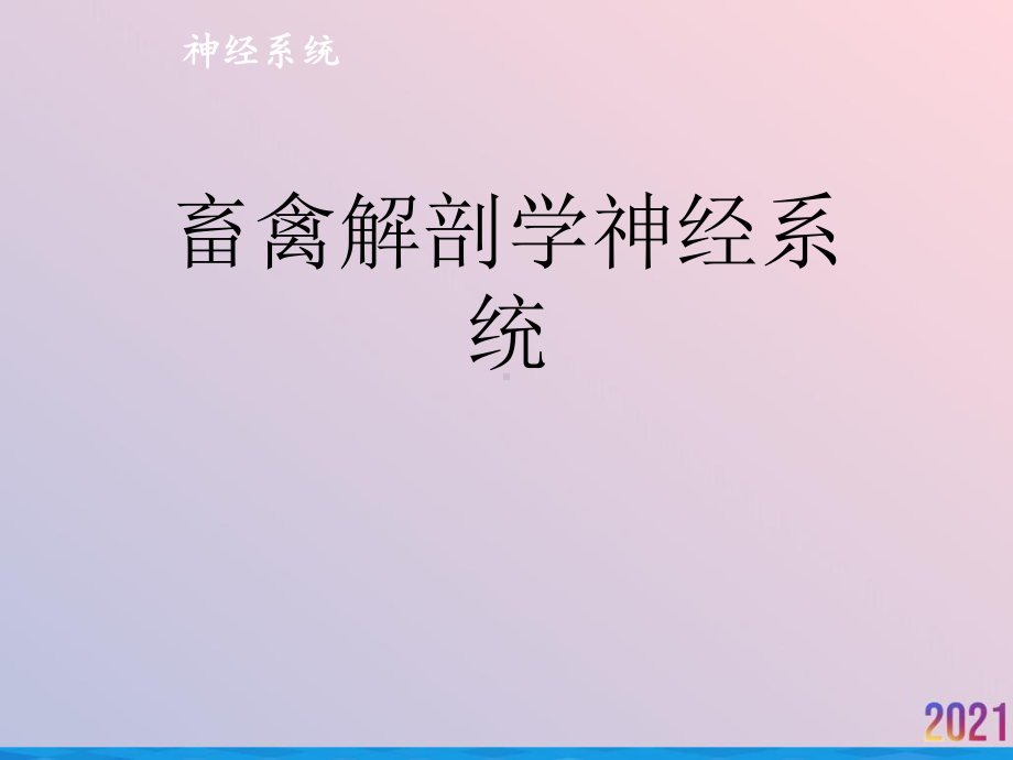 畜禽解剖学神经系统课件.ppt_第1页