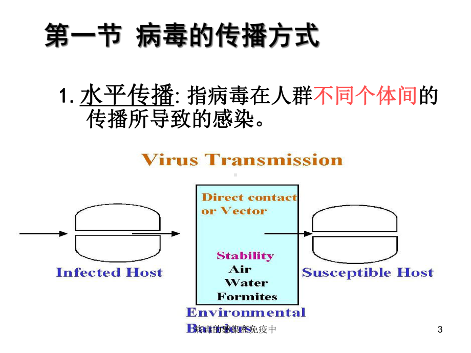 病毒的感染和免疫中课件.ppt_第3页