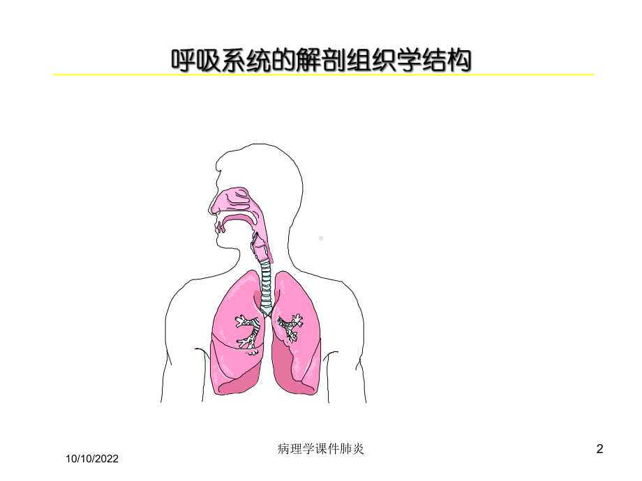 病理学课件肺炎培训课件.ppt_第2页