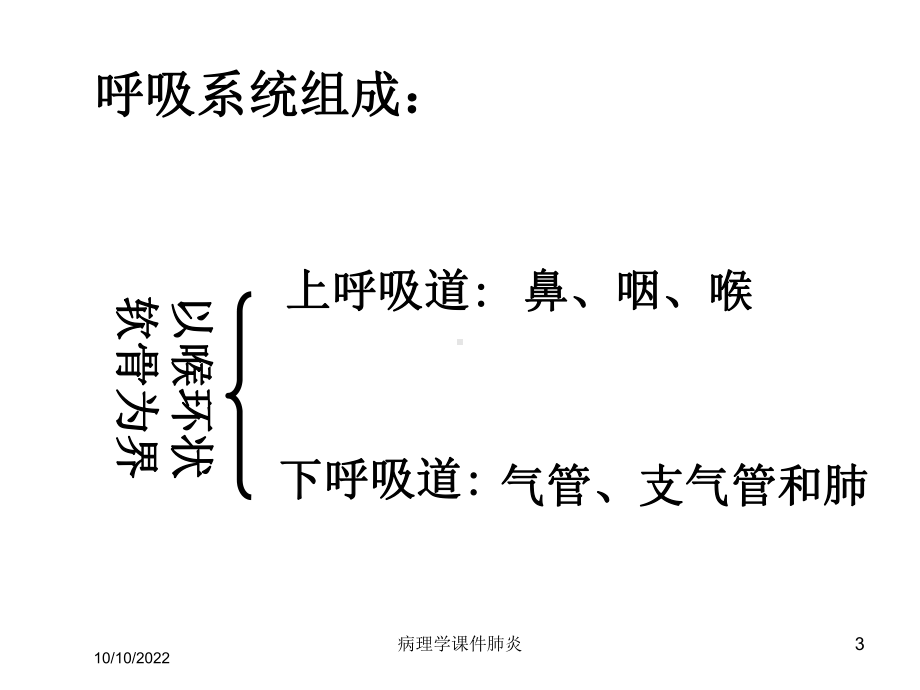 病理学课件肺炎培训课件.ppt_第3页