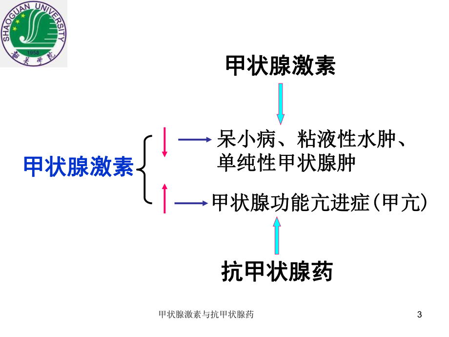 甲状腺激素与抗甲状腺药课件.ppt_第3页