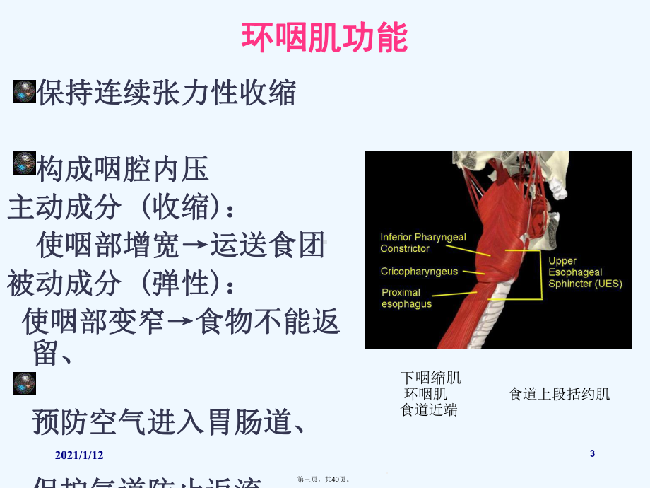 球囊扩张术在吞咽障碍治疗中的疗效分析课件.ppt_第3页