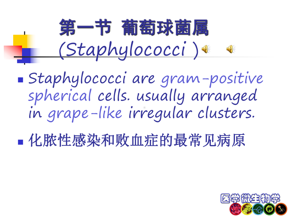 病原性球菌医学知识讲座优质课件.ppt_第3页