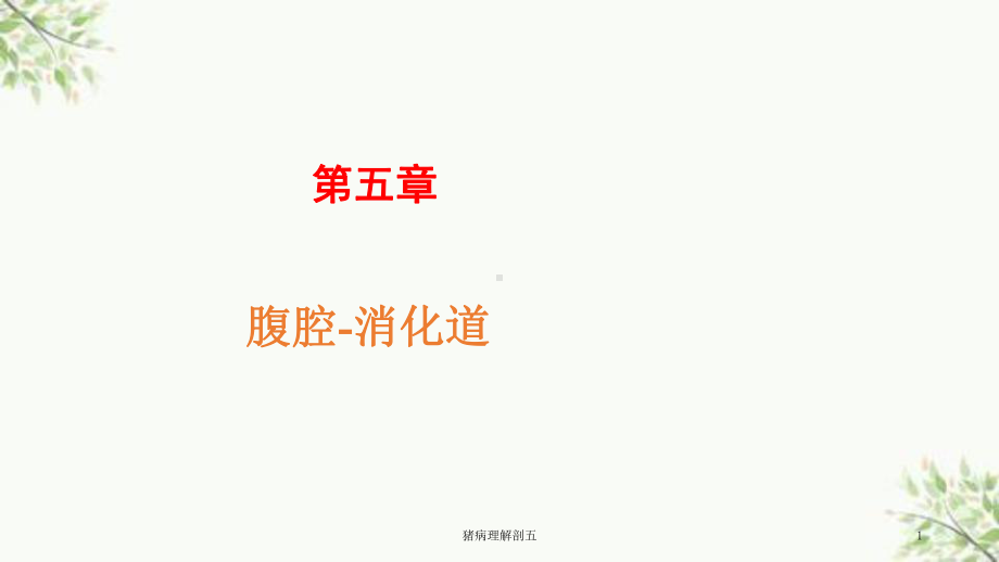 猪病理解剖五课件.ppt_第1页