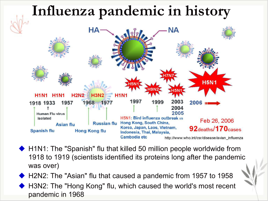 流感病毒专题课件.pptx_第2页