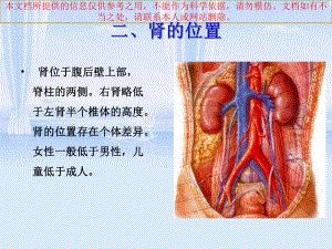 泌尿系统之沙棘茶培训课件.ppt