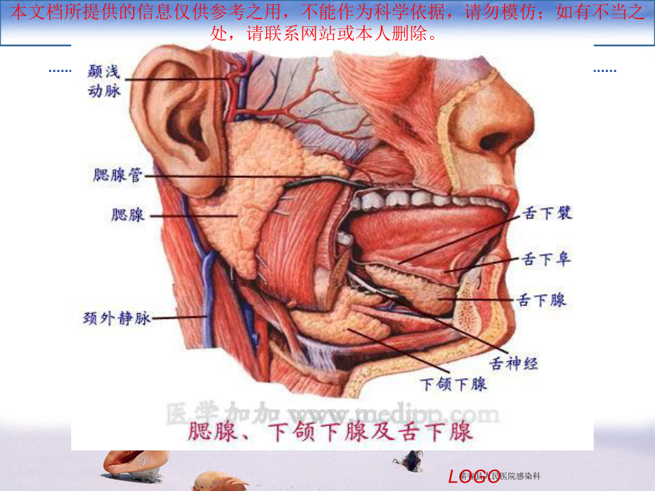 流行性腮腺炎讲解培训课件.ppt_第3页