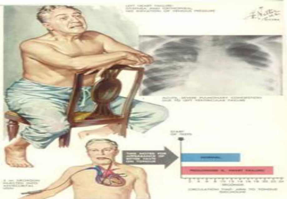 病理生理学知识讲座课件.ppt_第3页