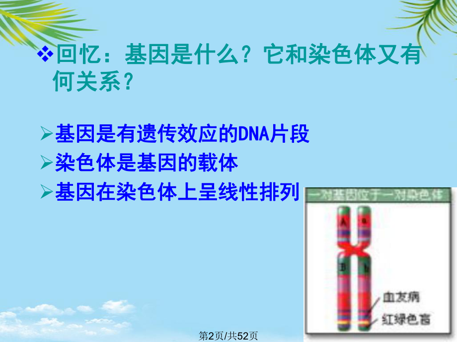 生物染色体变异新人教版必修全面版课件.pptx_第2页