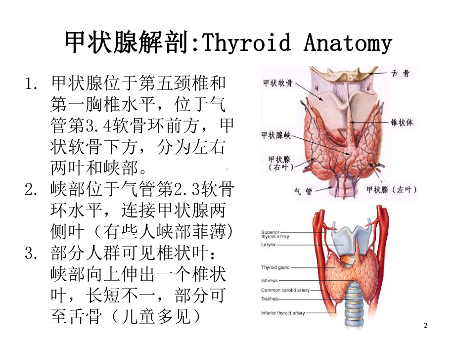 甲状腺结节超声规范化诊断课件.ppt_第2页