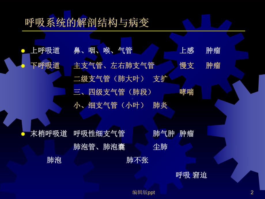 病理呼吸课件.ppt_第2页