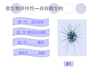 环境微生物学第三章课件.ppt