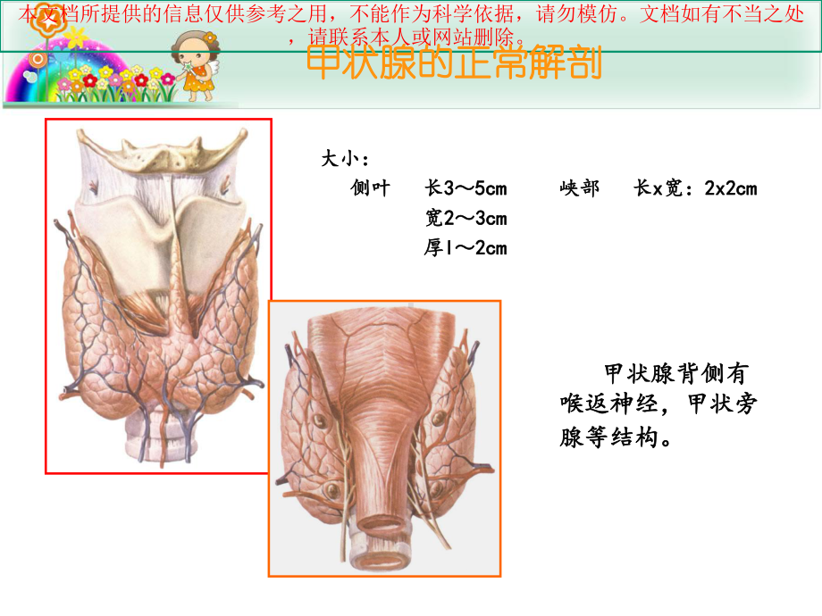 甲状腺结节的超声诊疗和鉴别培训课件.ppt_第2页