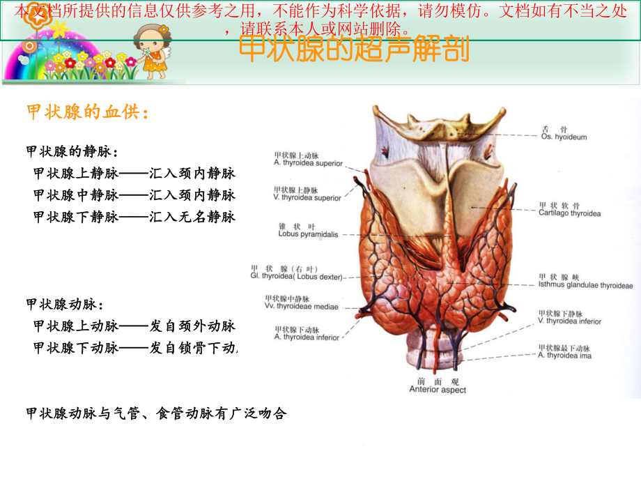 甲状腺结节的超声诊疗和鉴别培训课件.ppt_第3页