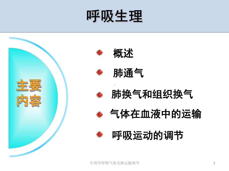 生理学呼吸气体交换运输调节培训课件.ppt_第3页