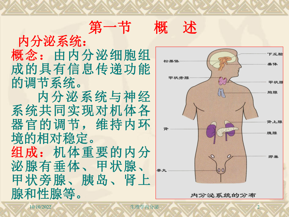 生理学内分泌培训课件.ppt_第2页