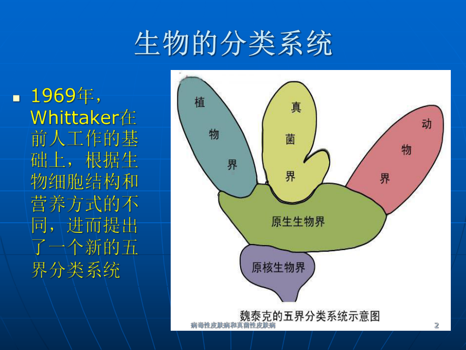 病毒性皮肤病和真菌性皮肤病课件.ppt_第2页