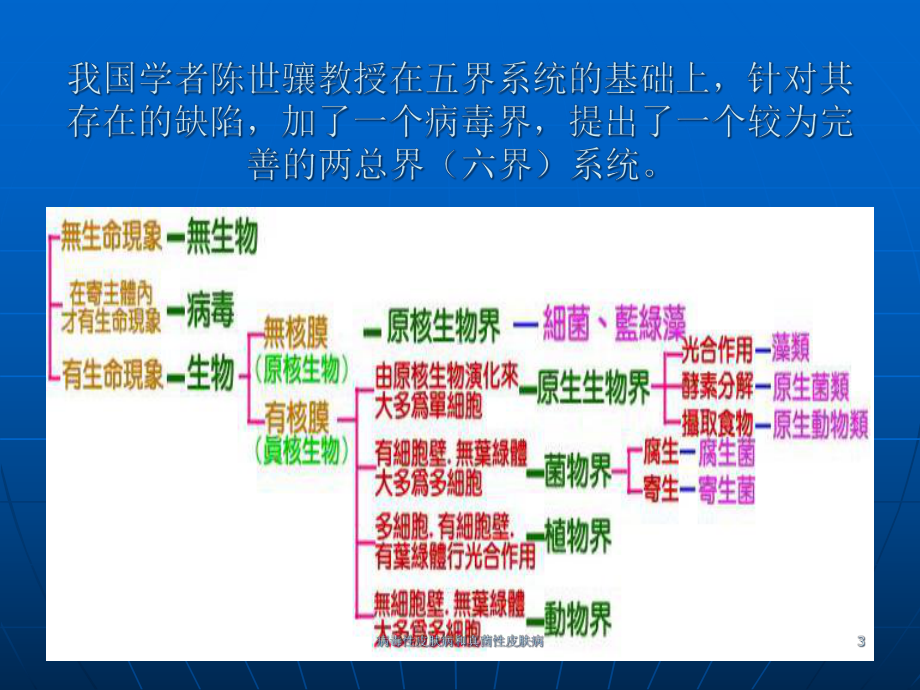 病毒性皮肤病和真菌性皮肤病课件.ppt_第3页