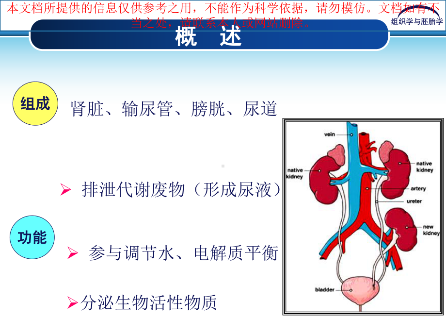 泌尿系统专业知识讲座培训课件.ppt_第2页