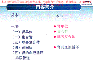 泌尿系统专业知识讲座培训课件.ppt