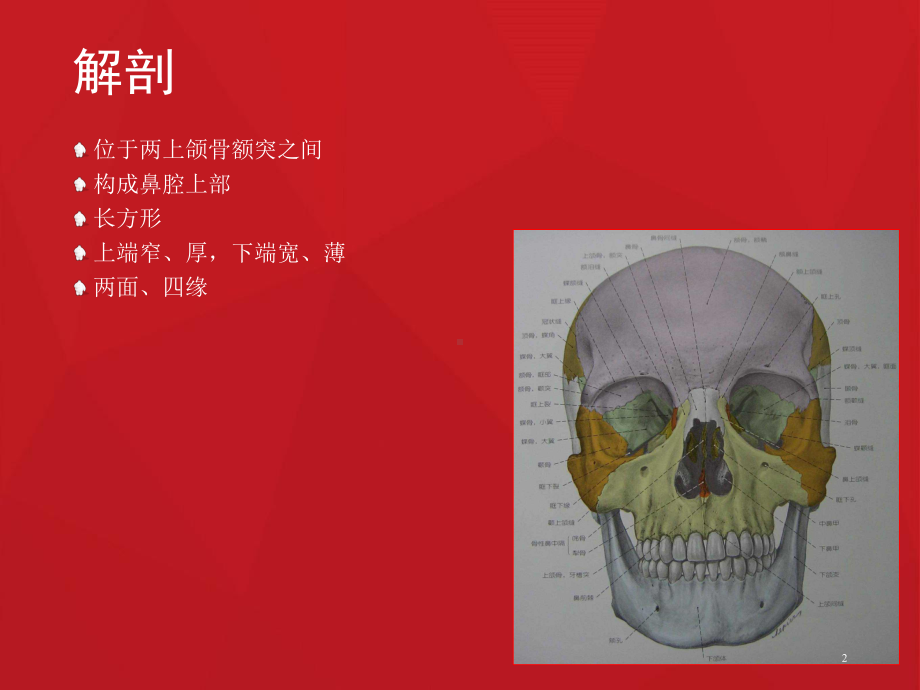 爱爱医资源鼻骨骨折影像学诊断与鉴别课件.ppt_第2页