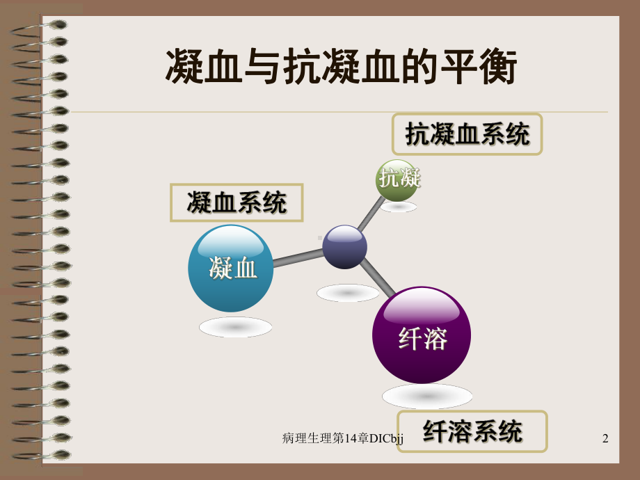 病理生理第14章DICbjj课件.ppt_第2页