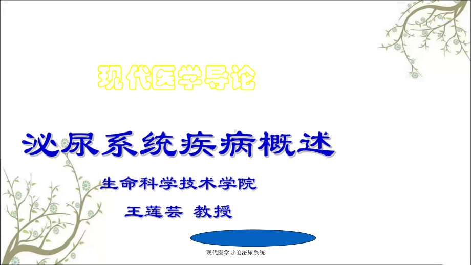 现代医学导论泌尿系统课件.ppt_第1页