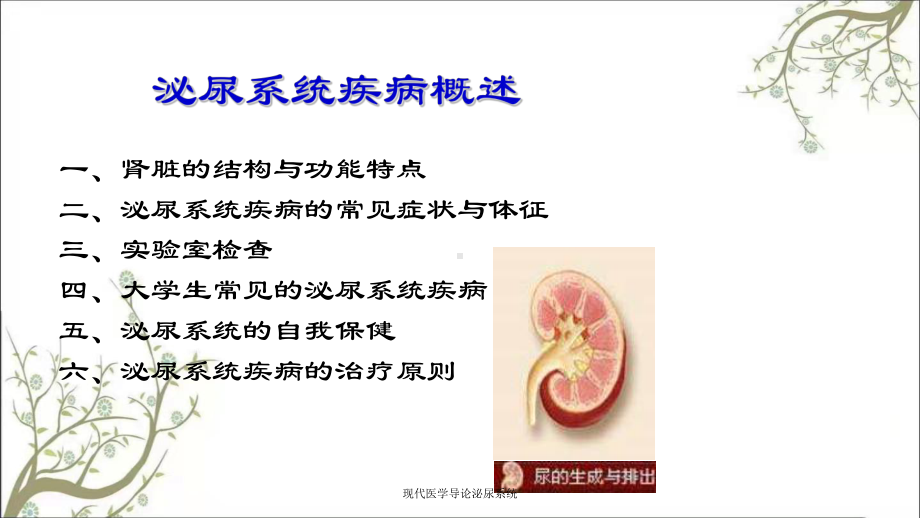 现代医学导论泌尿系统课件.ppt_第3页