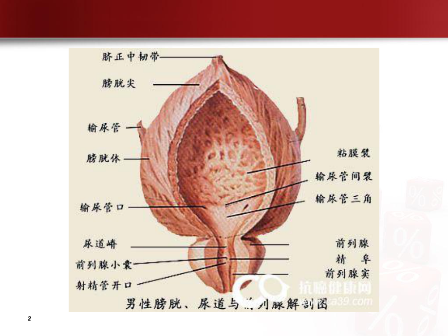 泌尿1：膀胱肿瘤病人的护理查房课件.ppt_第2页