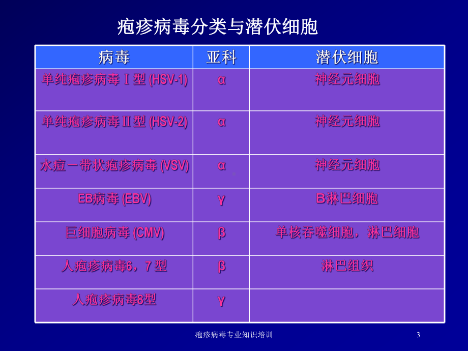 疱疹病毒专业知识培训培训课件.ppt_第3页