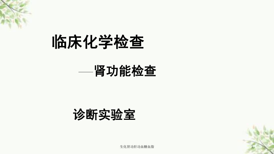 生化肾功肝功血糖血脂课件.ppt_第1页