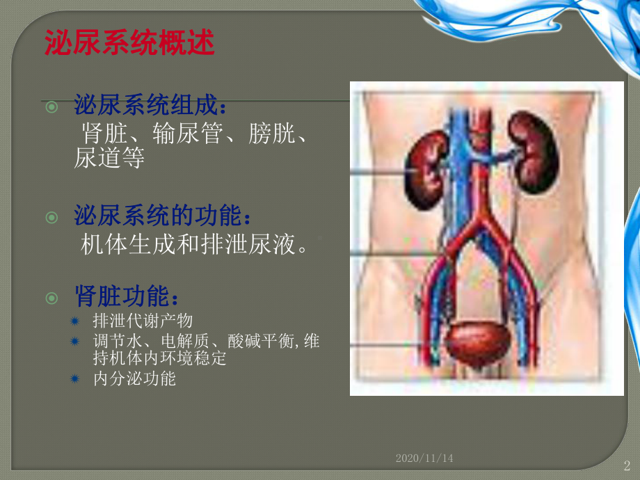 泌尿系统症状体征护理课件.ppt_第2页