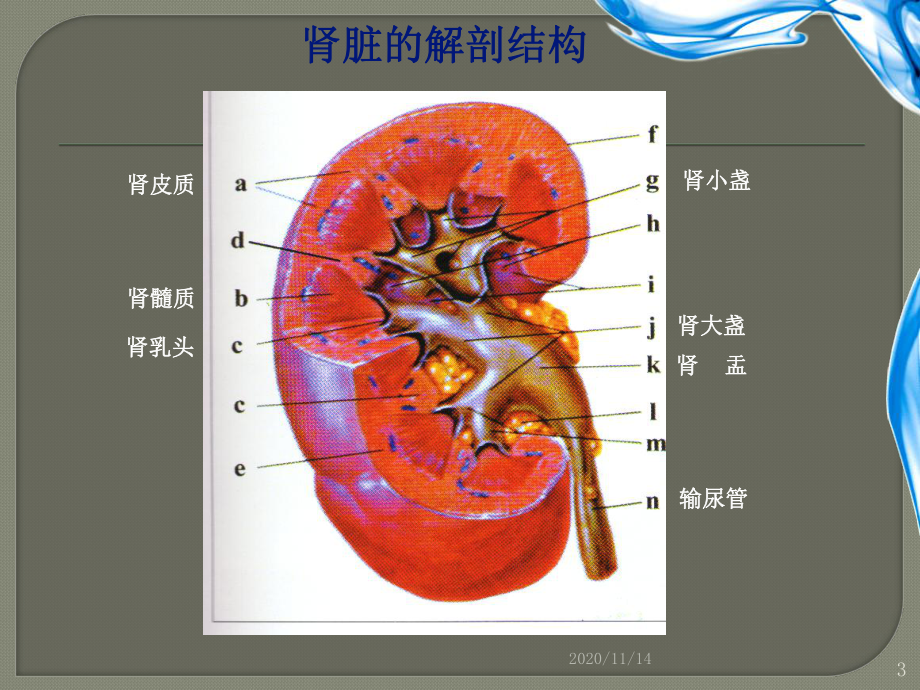 泌尿系统症状体征护理课件.ppt_第3页