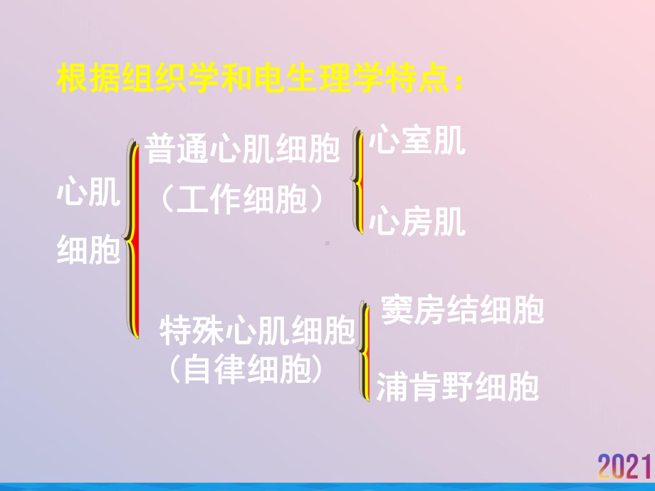 生理学心肌生物电活课件.ppt_第3页