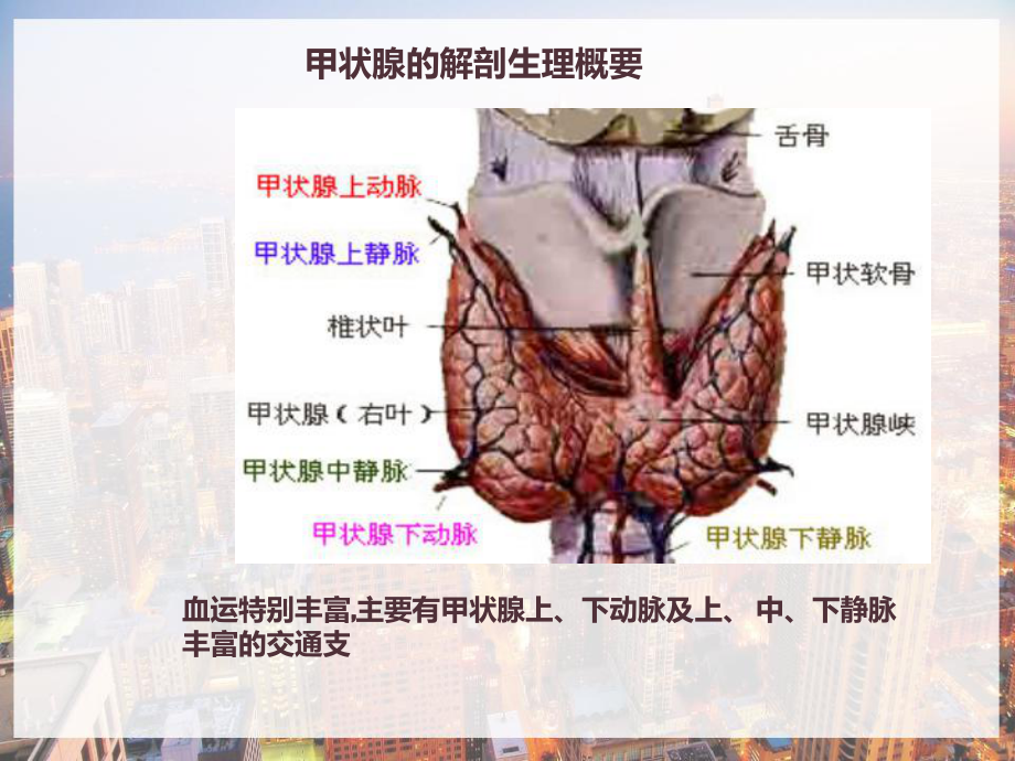 甲状腺围手术期的护理-课件.pptx_第2页