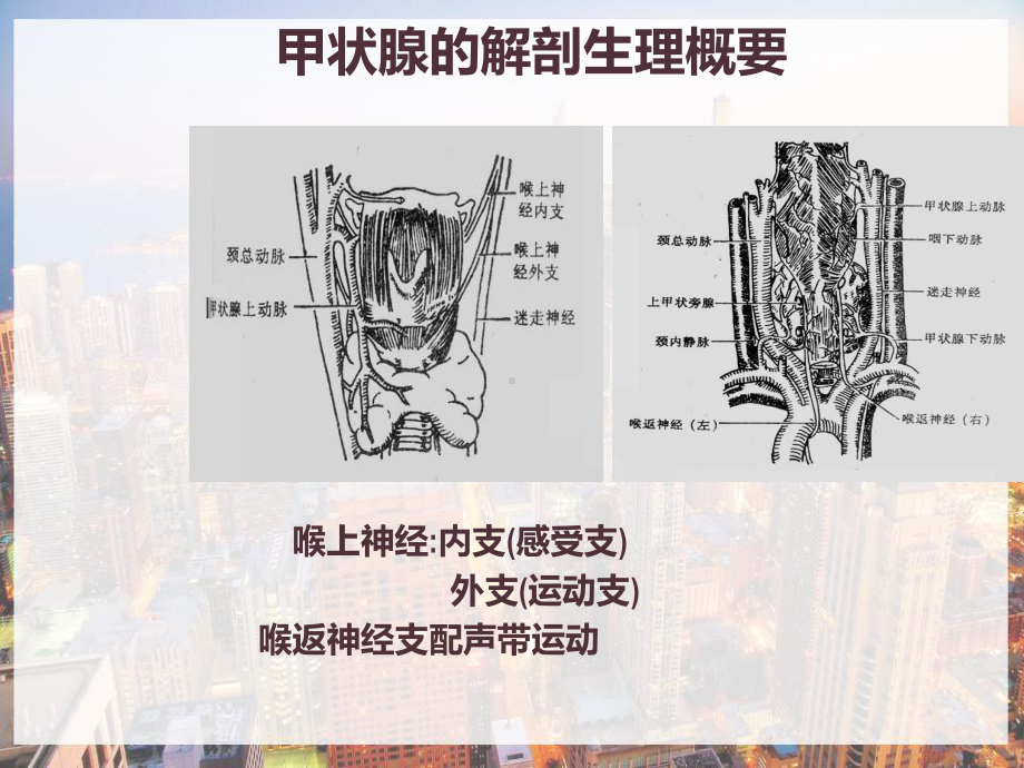 甲状腺围手术期的护理-课件.pptx_第3页