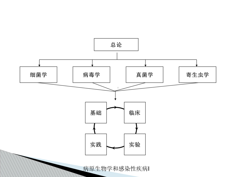 病原生物学和感染性疾病I培训课件.ppt_第3页