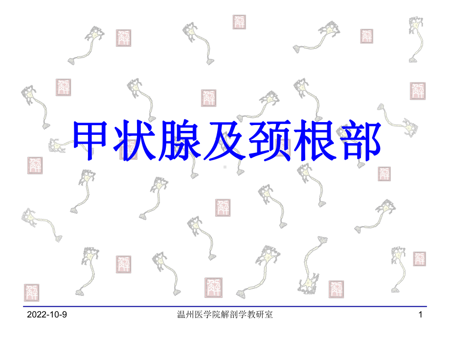 甲状腺及颈根部课件.ppt_第1页