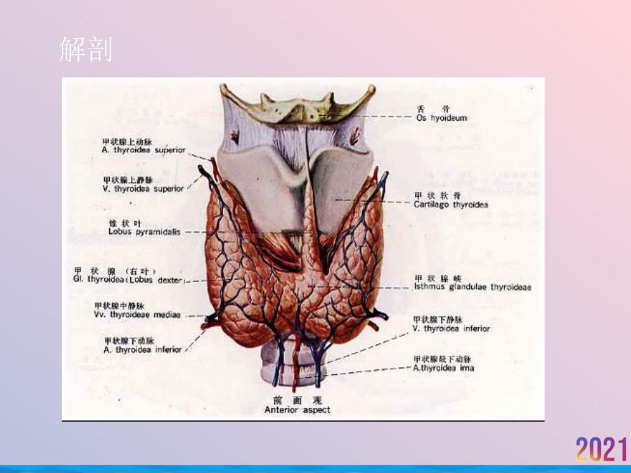 甲状腺疾病CT表现课件.ppt_第2页