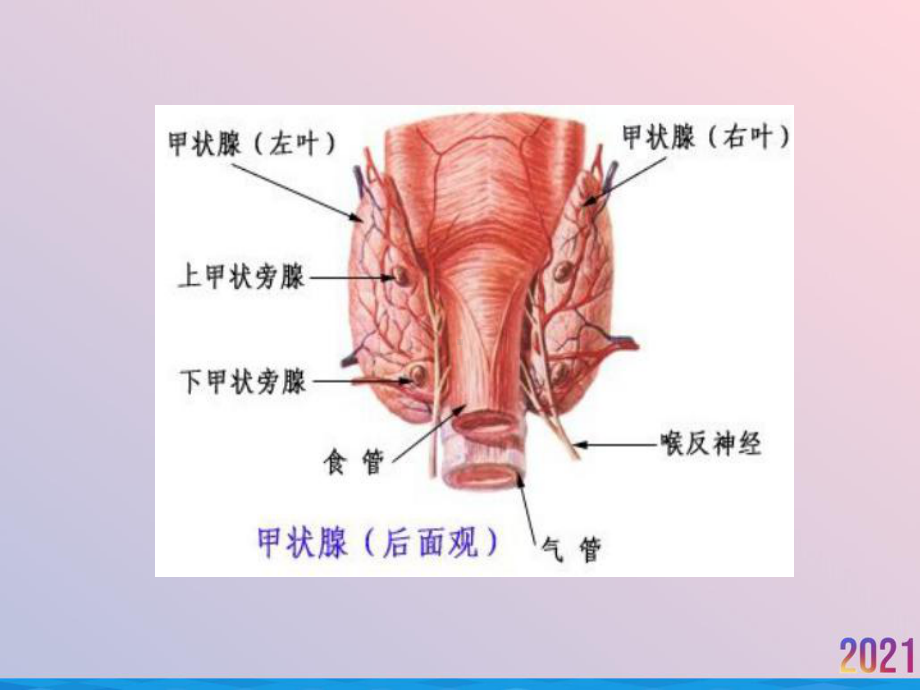 甲状腺疾病CT表现课件.ppt_第3页