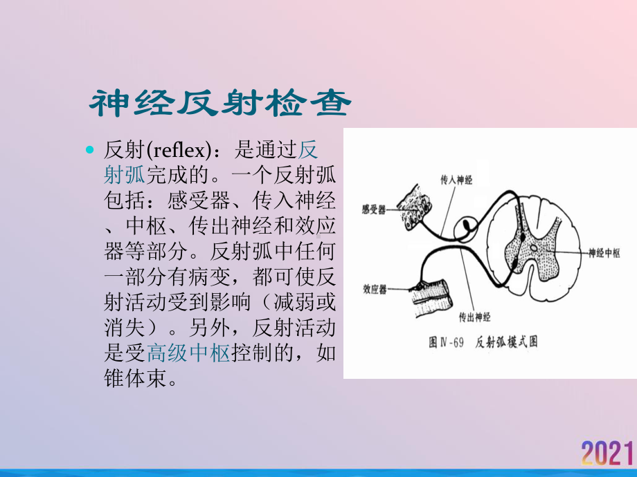 病理反射和脑膜刺激征课件-2.ppt_第2页