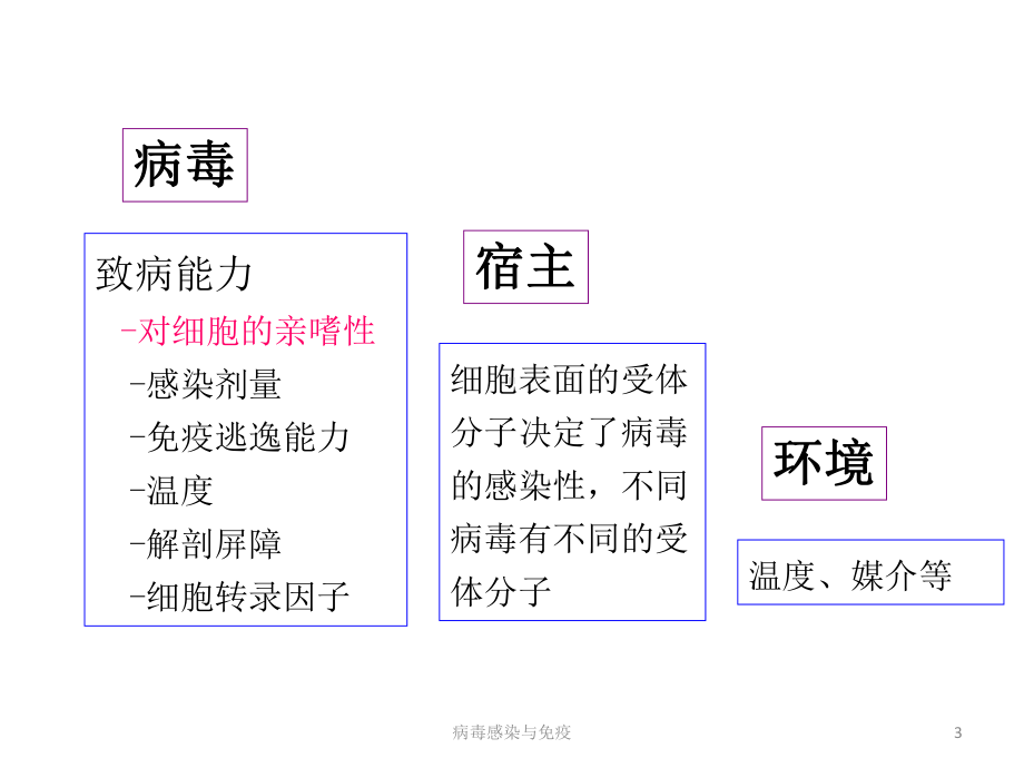 病毒感染与免疫培训课件.ppt_第3页