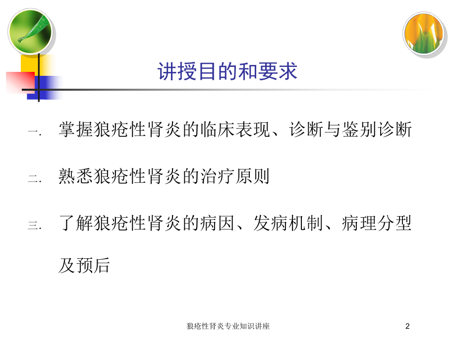 狼疮性肾炎专业知识讲座培训课件.ppt_第2页