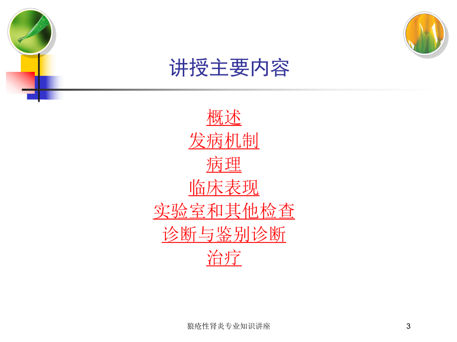 狼疮性肾炎专业知识讲座培训课件.ppt_第3页