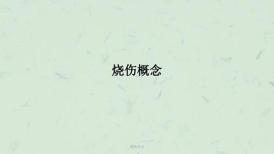 烧伤学习课件.ppt_第2页