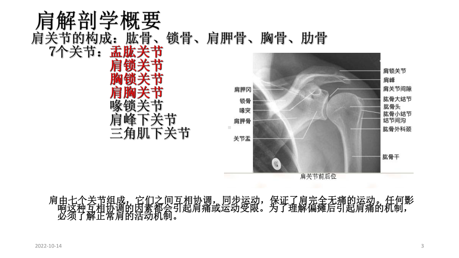 浅谈偏瘫并发症“肩痛”治疗参考课件.ppt_第3页